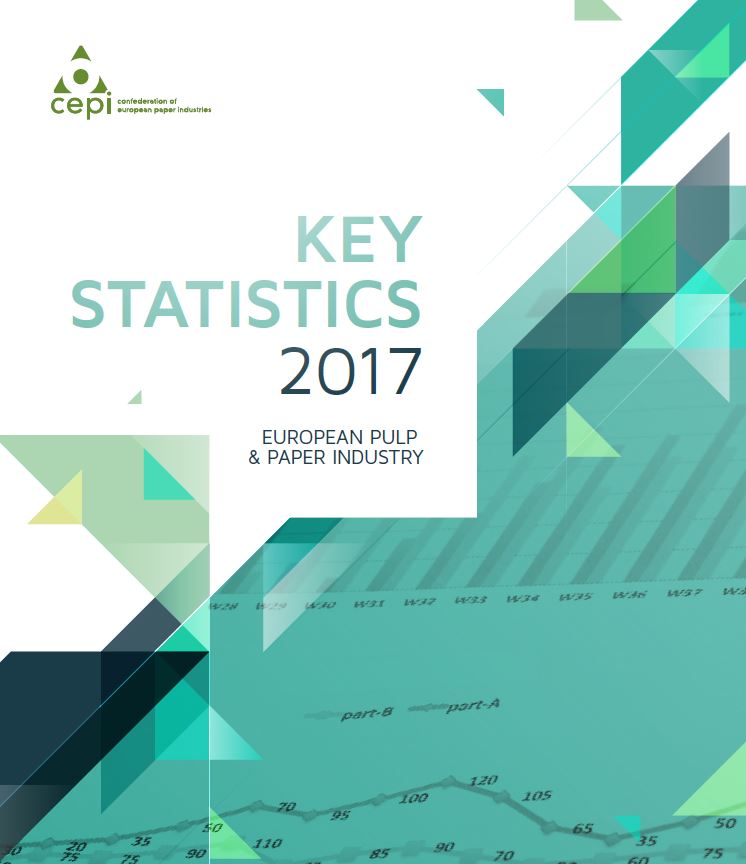 Key statistics report 2017